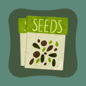 Seed Library 1